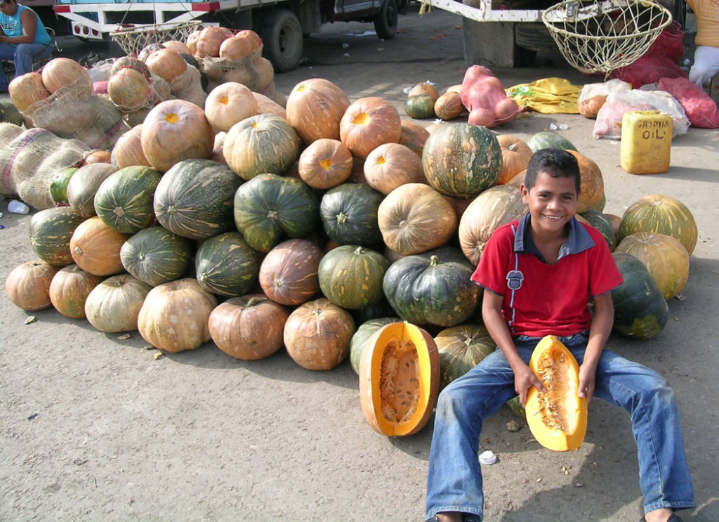 Calabaza (West Indian Pumpkin)