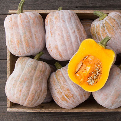 When to plant squash? It depends what kind you are planting. But none of them can tolerate frost. 