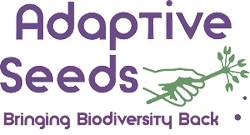 Adaptive Seeds Logo